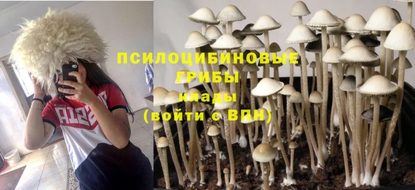 2c-b Белокуриха
