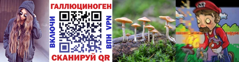 Псилоцибиновые грибы прущие грибы kraken онион Очёр купить цена
